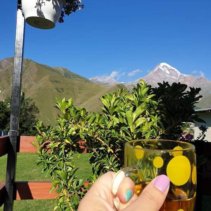 Guest House Elguja Qushashvili Kazbegi Ngoại thất bức ảnh