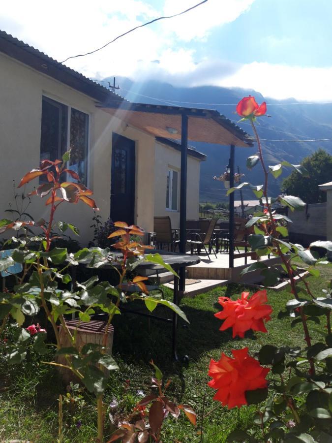Guest House Elguja Qushashvili Kazbegi Ngoại thất bức ảnh