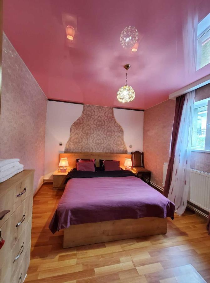 Guest House Elguja Qushashvili Kazbegi Ngoại thất bức ảnh