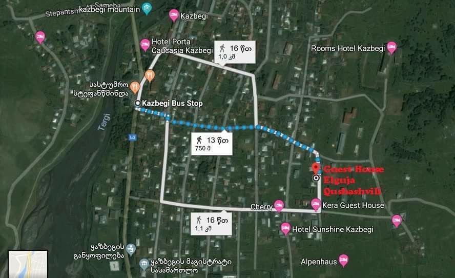 Guest House Elguja Qushashvili Kazbegi Ngoại thất bức ảnh