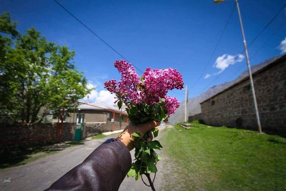 Guest House Elguja Qushashvili Kazbegi Ngoại thất bức ảnh
