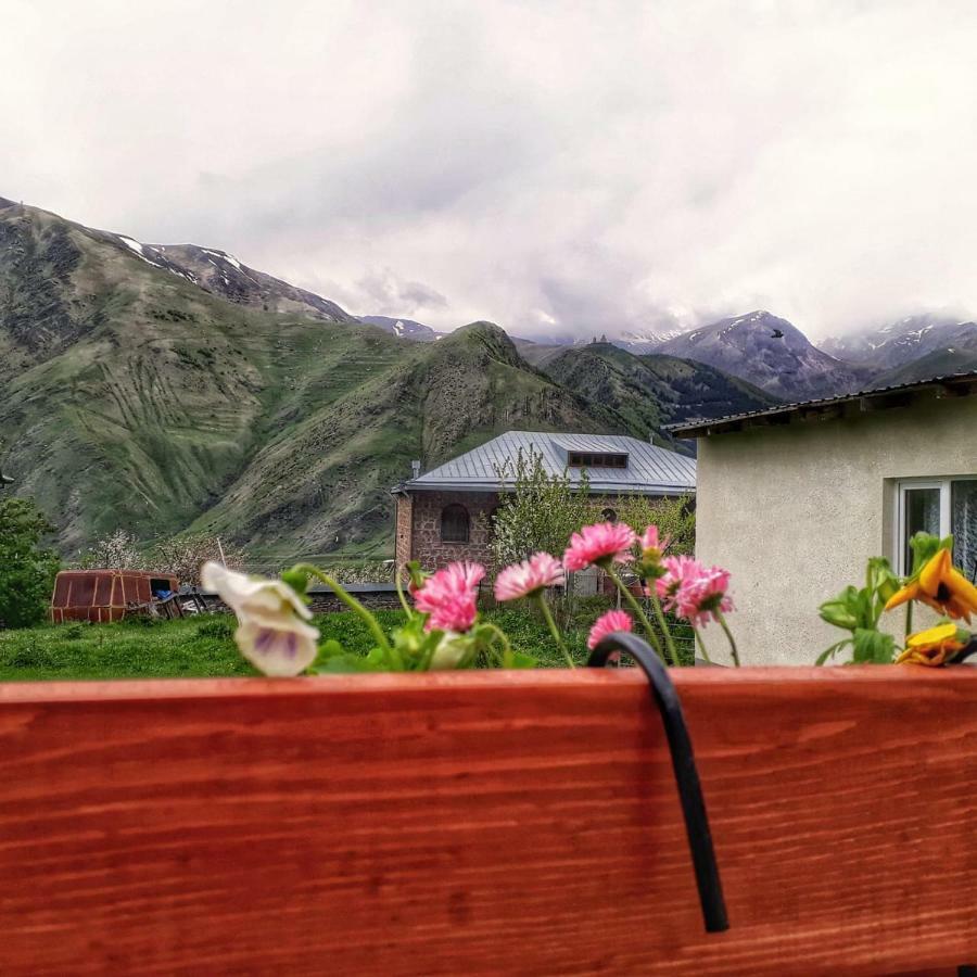 Guest House Elguja Qushashvili Kazbegi Ngoại thất bức ảnh